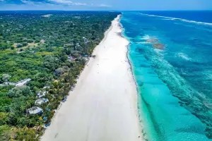 Diani
